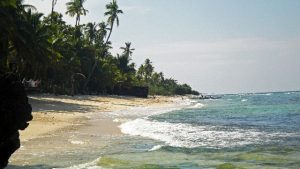 ラッシュガードの選び方サイズや色は？フードはありなし？